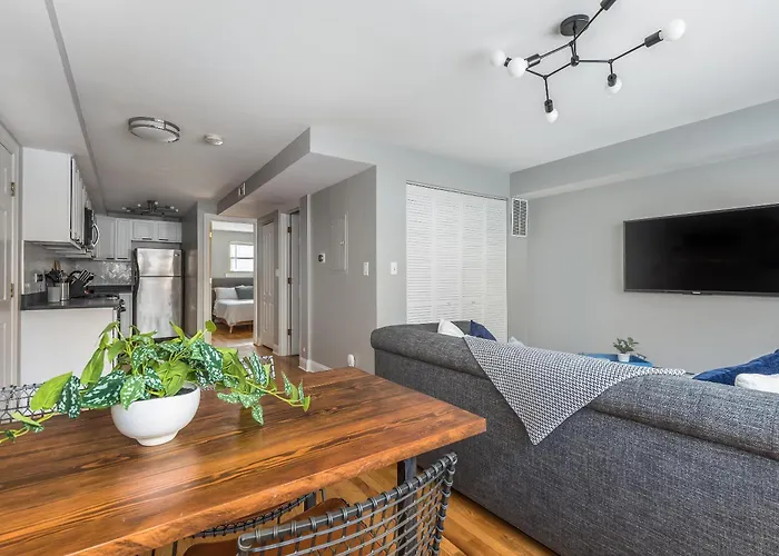 The Bright Retreat In Andersonville Chicago